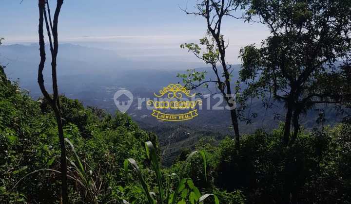 Tanah Jual Lokasi Pancasari 1