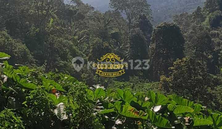 Tanah Jual Lokasi Pancasari 2