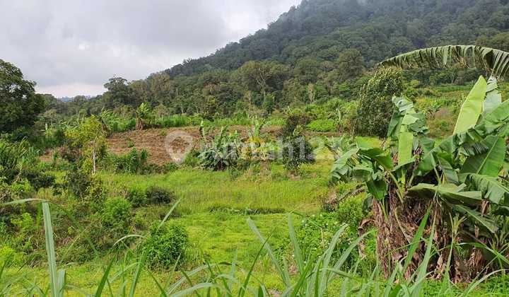 Tanah Jual Lokasi Munduk Tanah Jual Lokasi Munduk