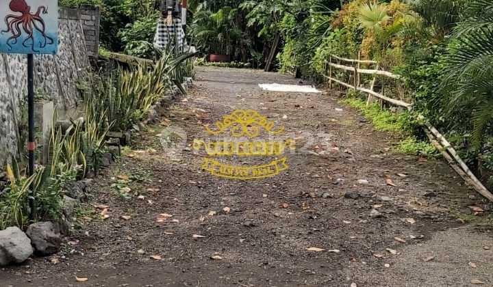 Tanah Jual Lokasi Tegal Besar Tanah Jual Lokasi Tegal Besar