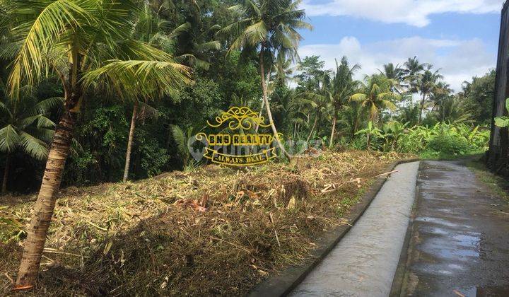 Tanah Jual Lokasi Bitera 2