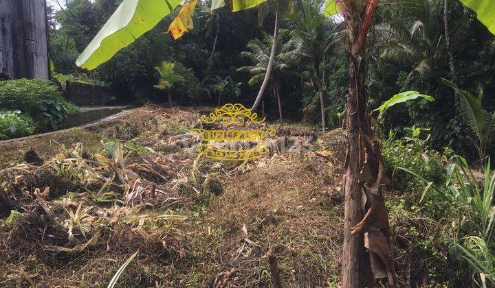 Tanah Jual Lokasi Bitera 3