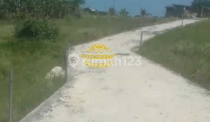 Tanah Jual Lokasi Pererenan