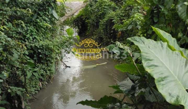 Tanah Jual Lokasi Pererenan