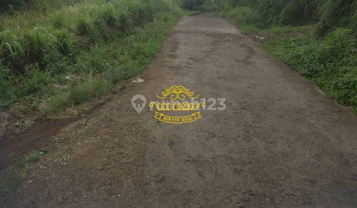 Tanah Jual Lokasi Gesing 1