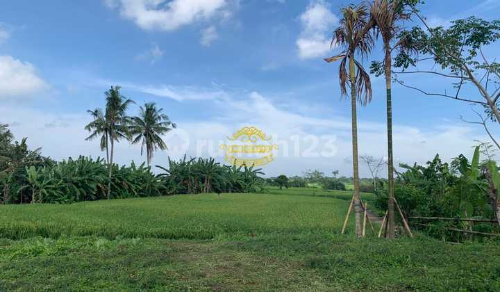 Tanah Jual Lokasi Munggu