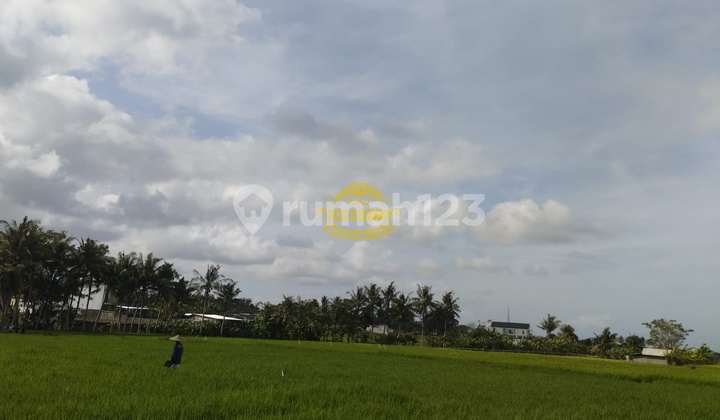 Tanah Jual Lokasi Pantai Nyanyi