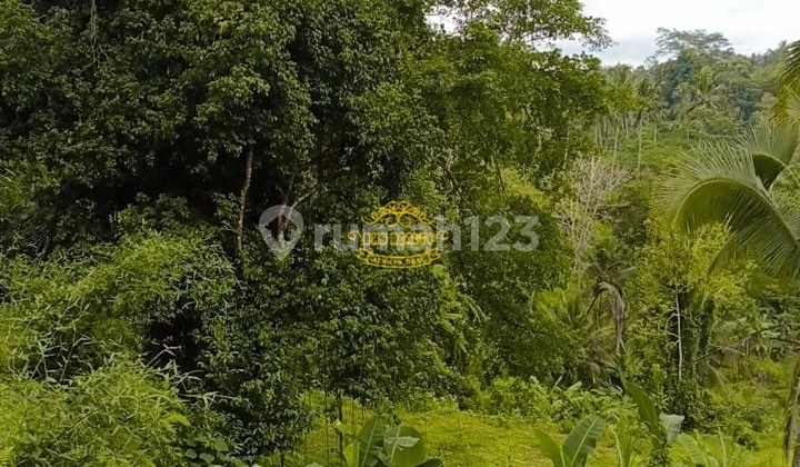 Tanah Jual Lokasi Tampak Siring