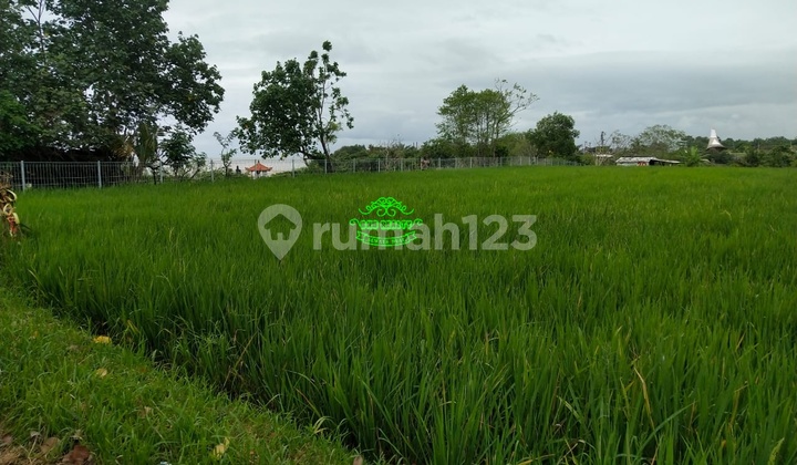 Land for Sale at Nyanyi Beach Location Land for Sale at Nyanyi Beach Location