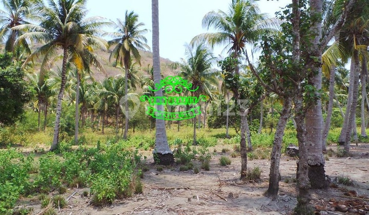 Tanah Jual Lokasi Sekotong Barat 2