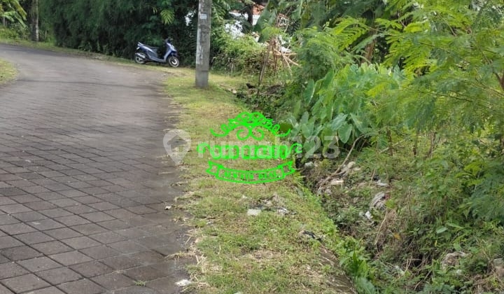 Tanah Jual Lokasi Pererenan