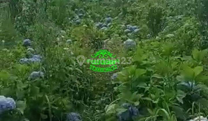 Tanah Jual Lokasi Asah Gobleg 2