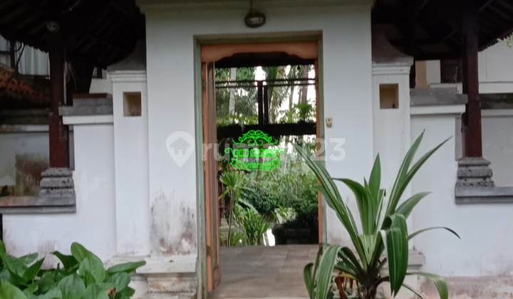 Villa Jual Lokasi Pejeng 3
