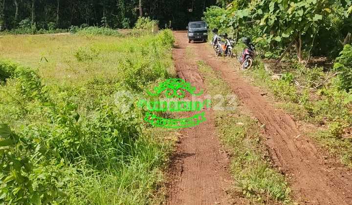 Land for Sale in Pandawa Location Land for Sale in Pandawa Location
