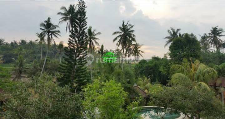 Villa Jual Lokasi Singapadu 1