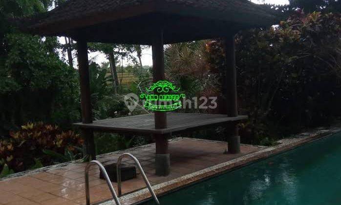 Villa Jual Lokasi Singapadu 2