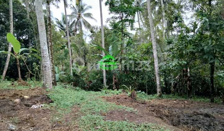 Tanah Jual Lokasi Selemadeg