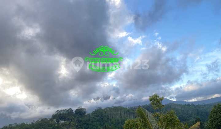 Land for Sale in Pelaga Location Land for Sale in Pelaga Location