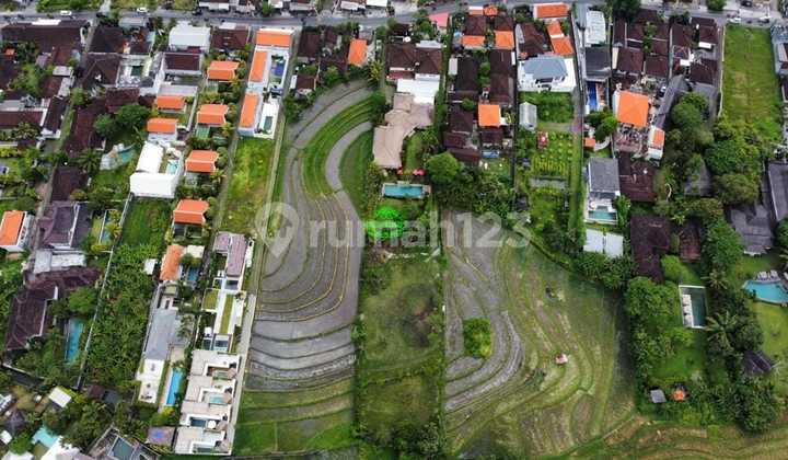 Tanah Jual Lokasi Umalas Tanah Jual Lokasi Umalas