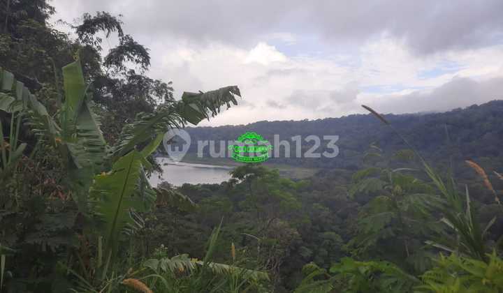 Land for Sale in Munduk Location Land for Sale in Munduk Location