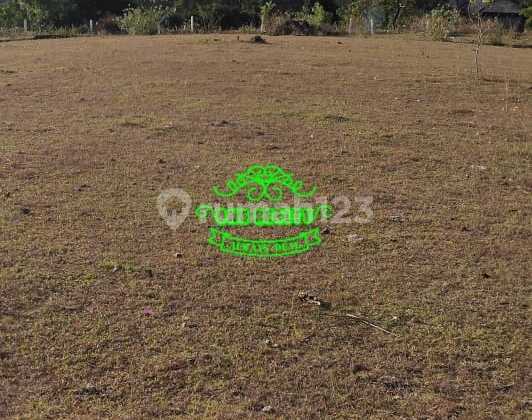 Tanah Jual Lokasi Kutuh