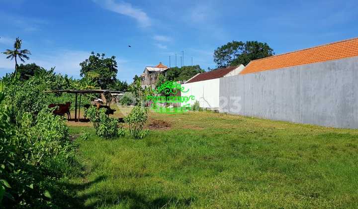 Tanah Jual Lokasi Umalas