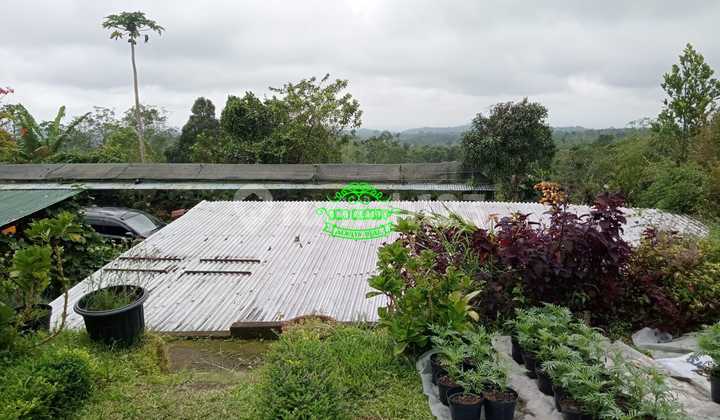 Land for Sale in Antapani Location