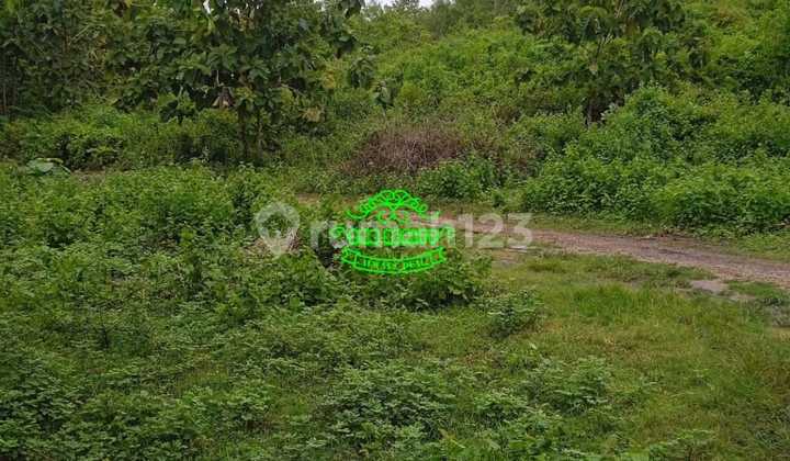 Tanah Jual Lokasi Ungasan