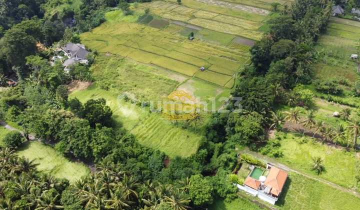 Tanah Jual Lokasi Tebongkang Tanah Jual Lokasi Tebongkang