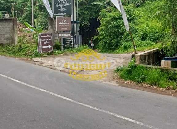 Land for Sale in Peliatan Location
