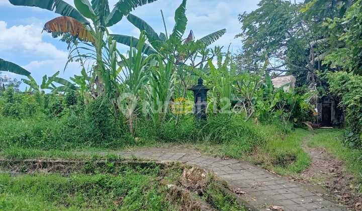 Land for Sale in Peliatan Location