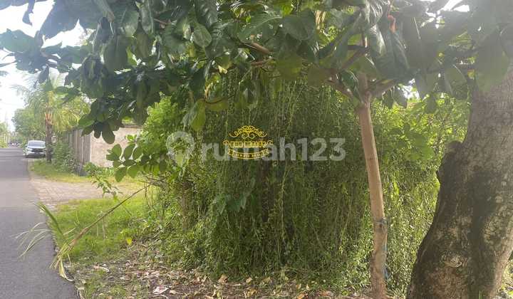 Tanah Jual Lokasi Sunset Road