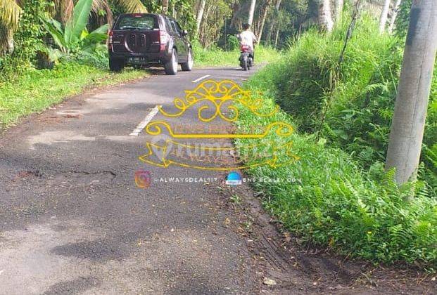 Tanah Sewa Lokasi Pejeng Kangin 2