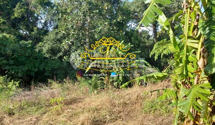 Tanah Jual Lokasi Tiying Tutul Tanah Jual Lokasi Tiying Tutul