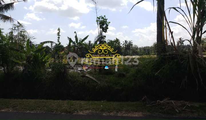 Tanah Jual Lokasi Pejeng