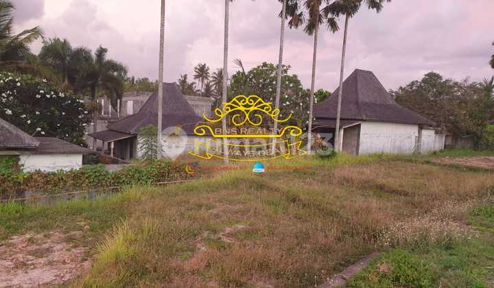 Land for Sale Location Tibubiu