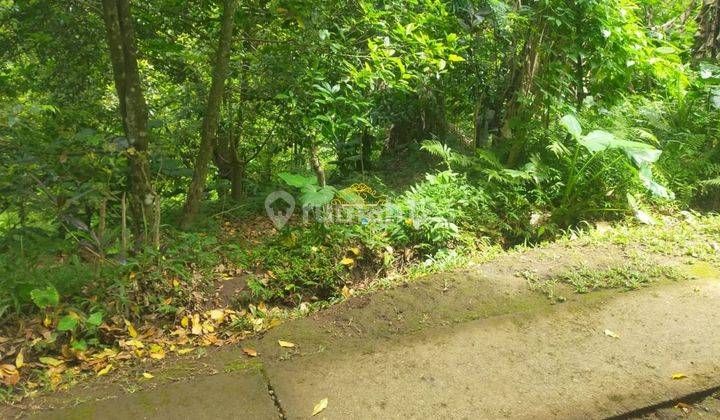 Tanah Jual Lokasi Gobleg 1
