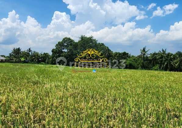 Tanah Jual Lokasi Nyambu