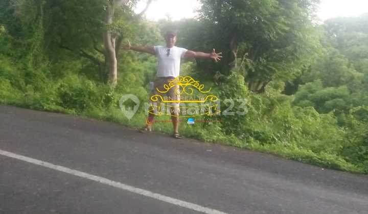 Land for Sale Location Temukus Land for Sale Location Temukus