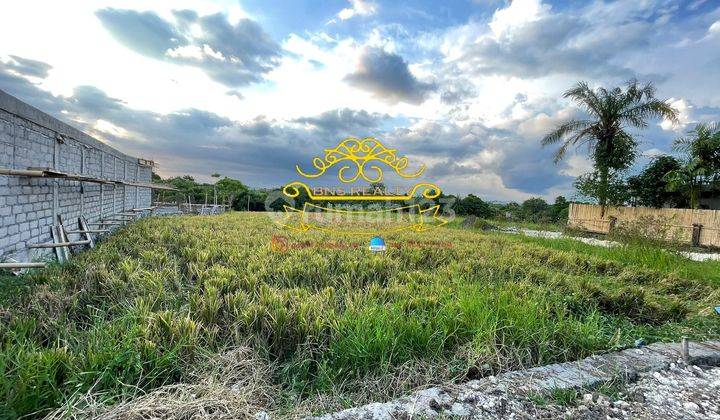 Tanah Sewa Lokasi Pererenan 3