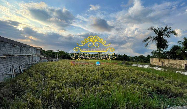 Tanah Sewa Lokasi Pererenan 2
