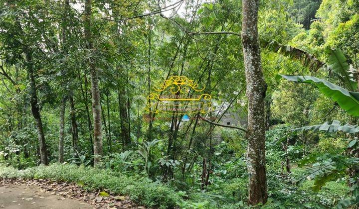 Tanah Jual Lokasi Munduk 1