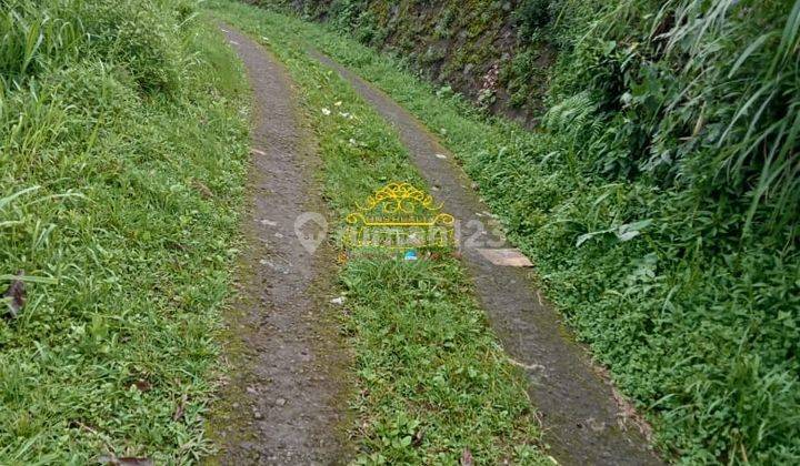 Tanah Jual Lokasi Gobleg 2