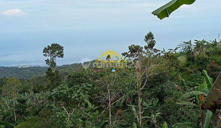 Tanah Jual Lokasi Gobleg