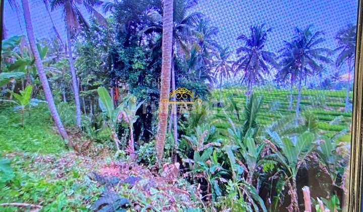 Tanah Jual Lokasi Ubud