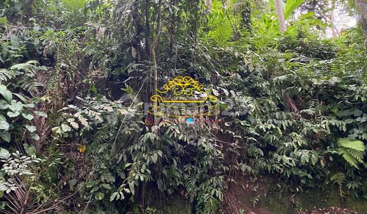 Land For Sale Location Peliatan