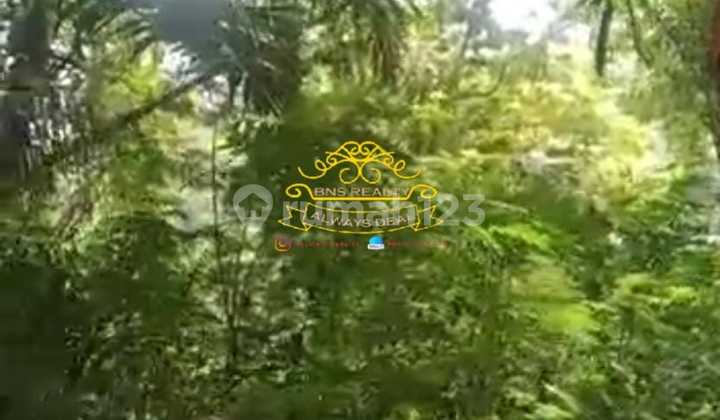 Tanah Jual Lokasi Tegallalang Tanah Jual Lokasi Tegallalang