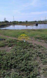 Tanah Sewa Lokasi Budeng 2