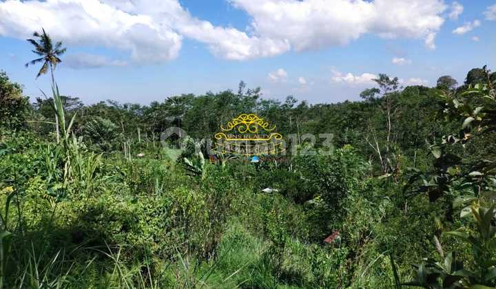 Tanah Jual Lokasi Tampak Siring Tanah Jual Lokasi Tampak Siring