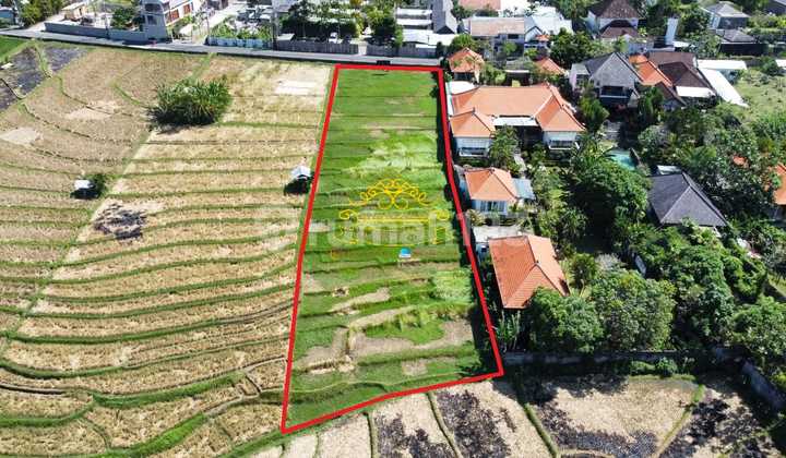 Tanah Jual Lokasi Umalas Tanah Jual Lokasi Umalas